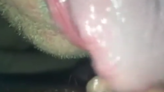 Passionate Pussy Licking Session with My Girlfriend